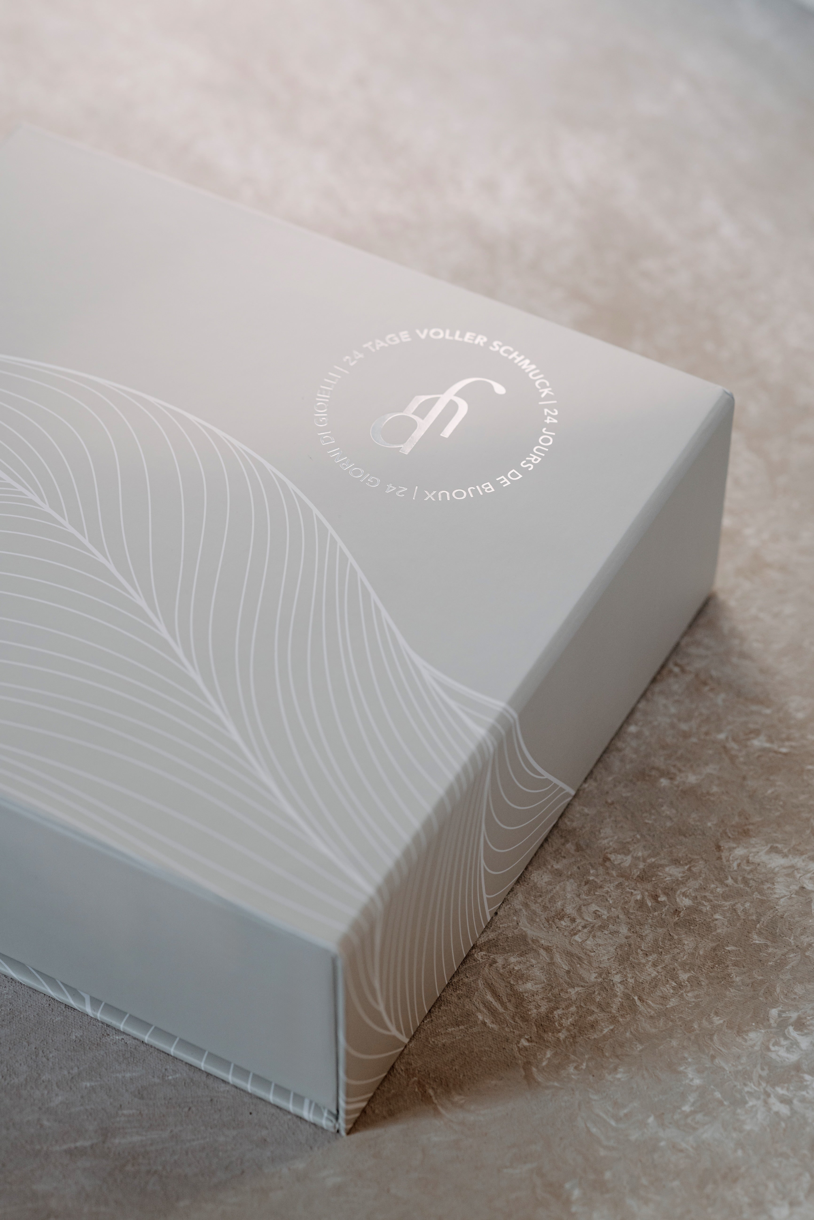 Calendrier de l&#39;Avent 2025 / À composer - Argent